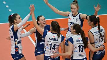 Szybko poszło. Polski klub siatkarski już znalazł nowego trenera