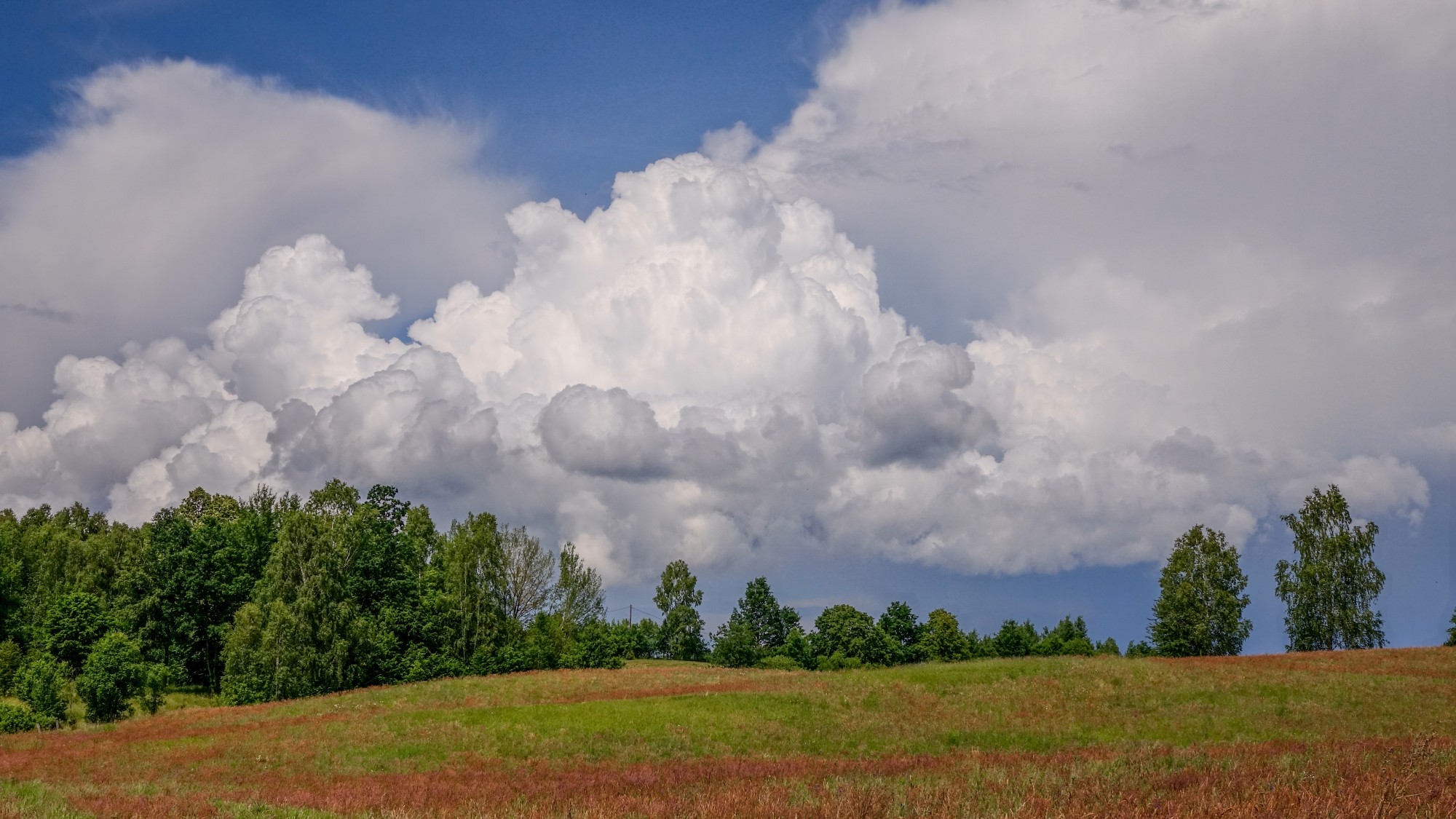 Wakacyjne podróże - zdjęcie 6
