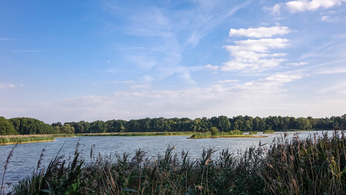 Lipiec w obiektywie - zdjęcie 51