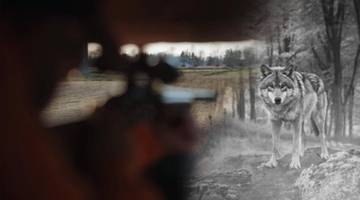 2026-01-04 Myśliwi czy kłusownicy? Cała prawda o polowaniach w Polsce