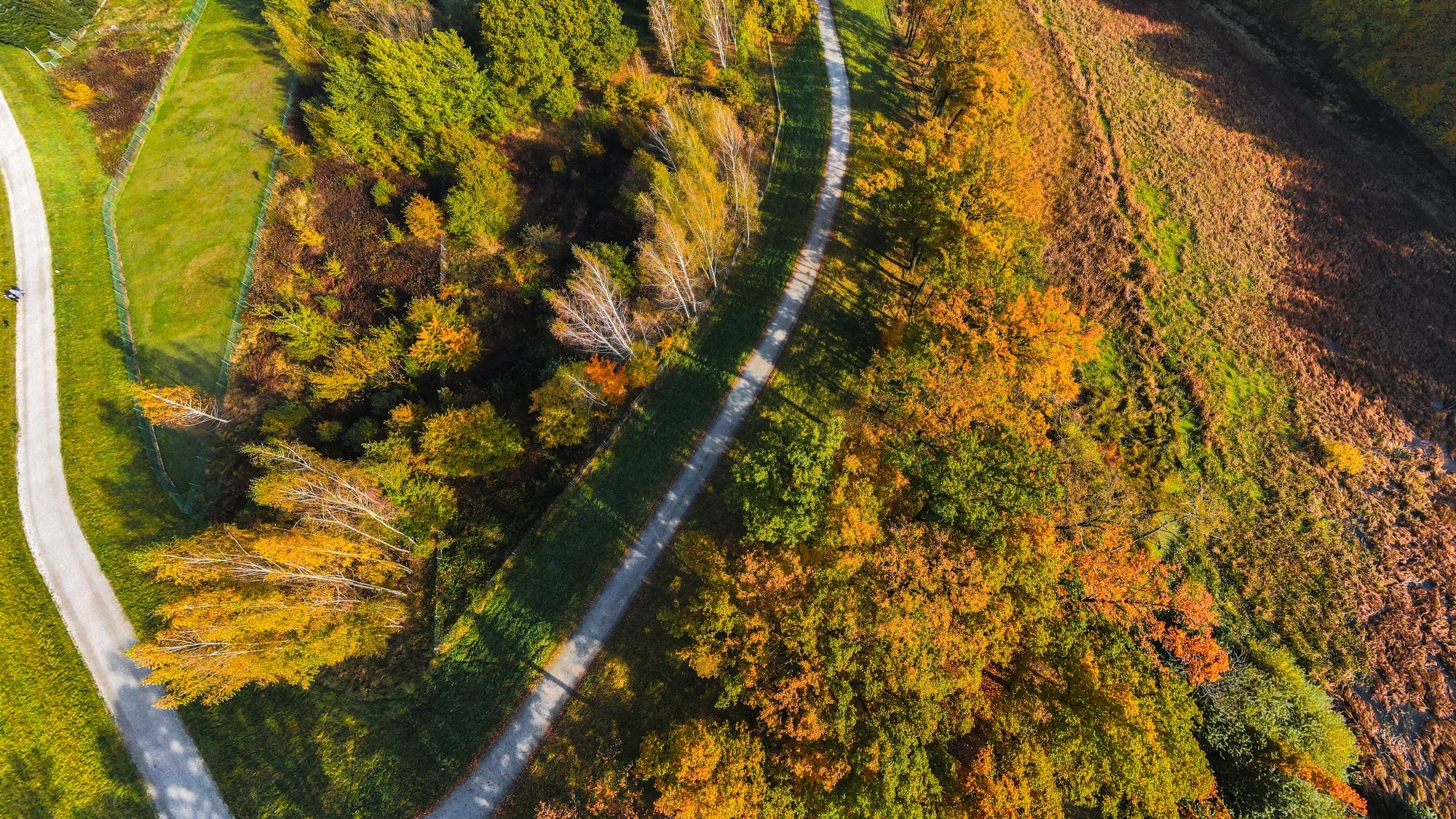 Jesień w Polsce z lotu ptaka - zdjęcie 17