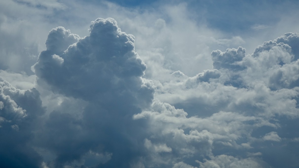 Czerwiec w obiektywie - zdjęcie 19