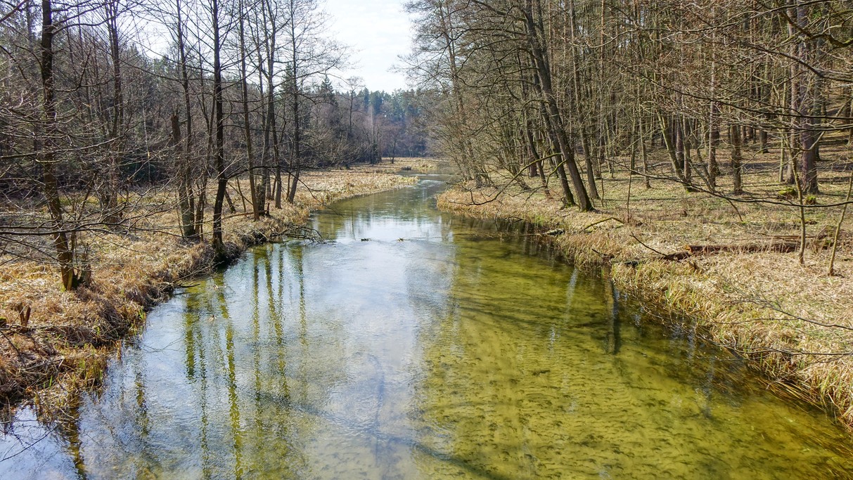 Powiewy wiosny - zdjęcie 8