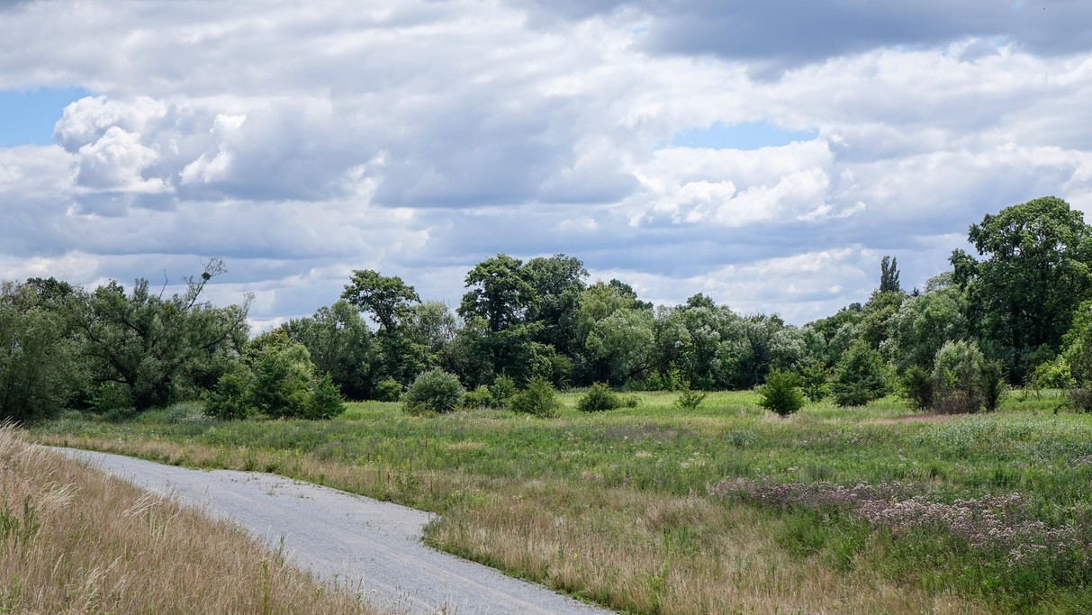 Czerwiec w obiektywie - zdjęcie 22