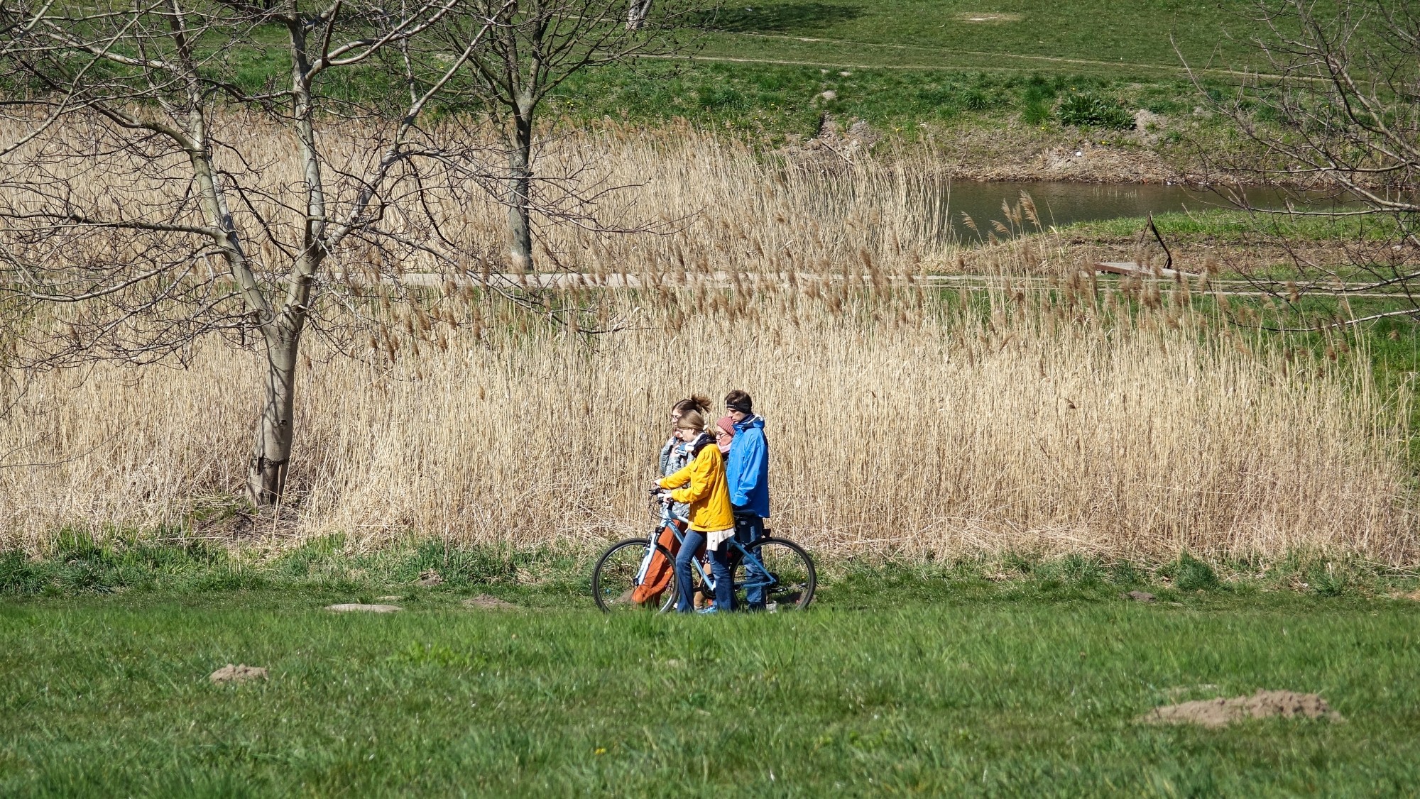 Podróż przez wiosenną Polskę - zdjęcie 8