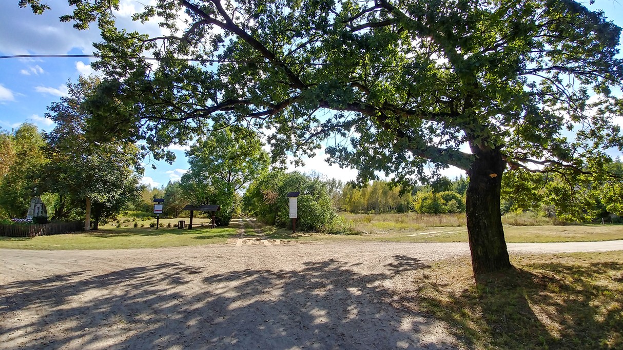 Uroki końca lata - zdjęcie 30