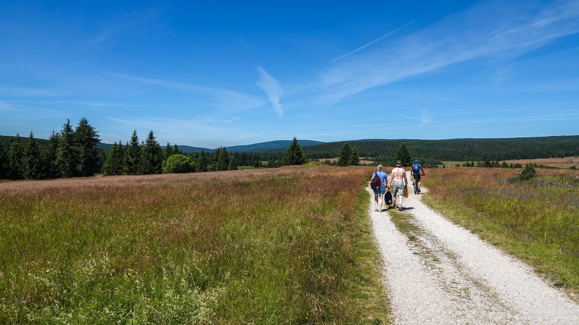 Środek lata w plenerze - zdjęcie 21