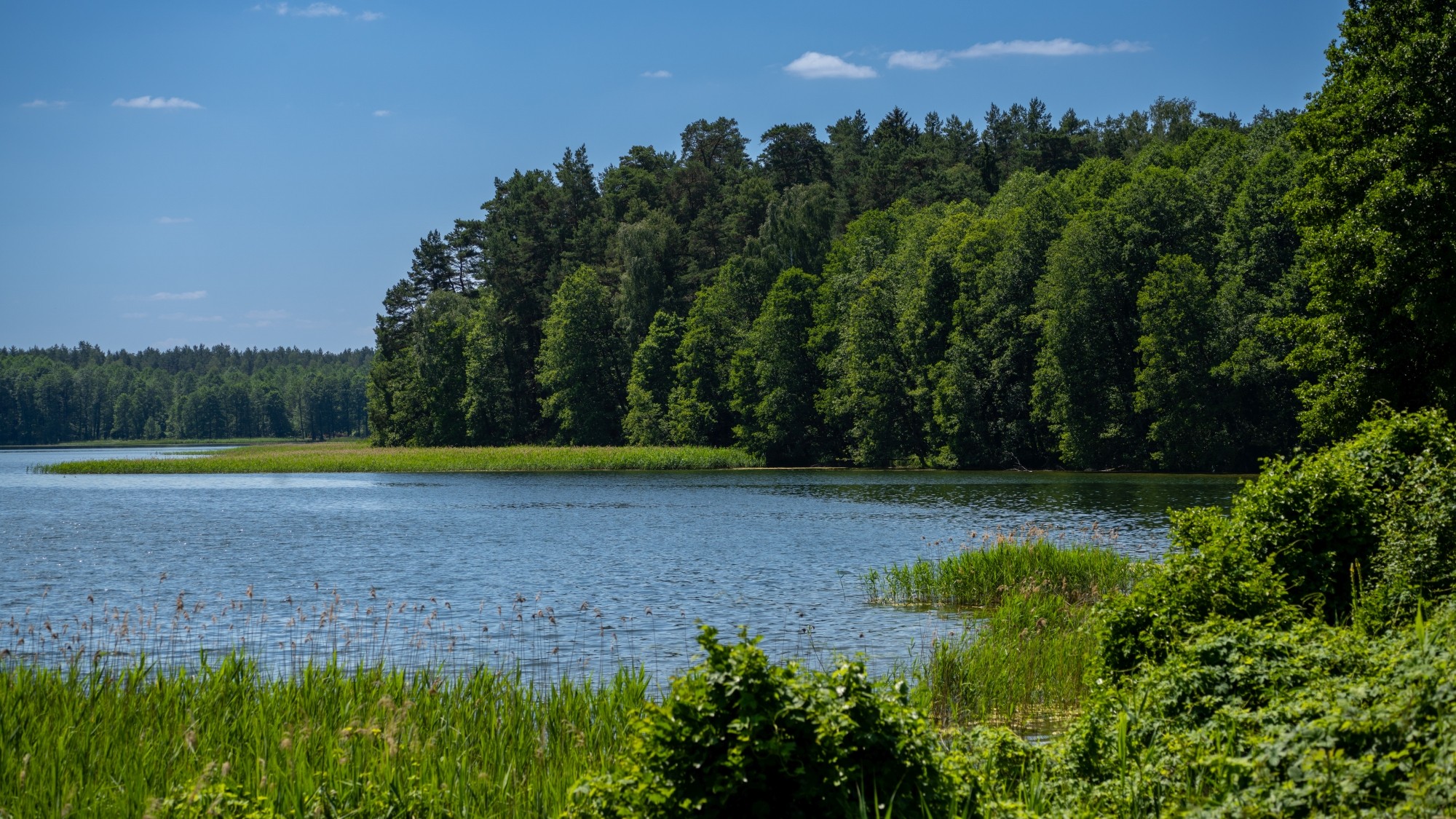 Kolory lata - zdjęcie 61