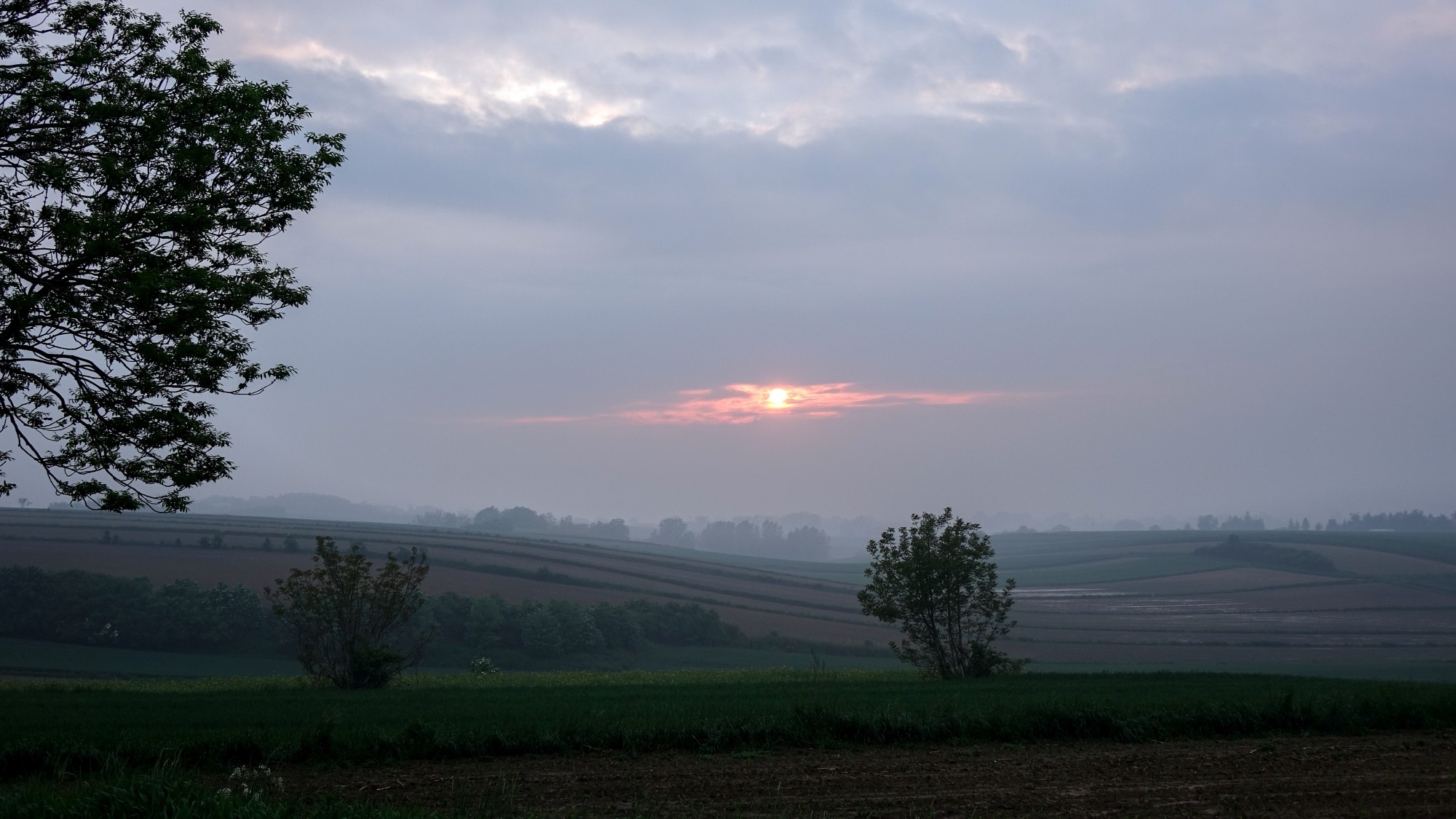 Maj w obiektywie - zdjęcie 24