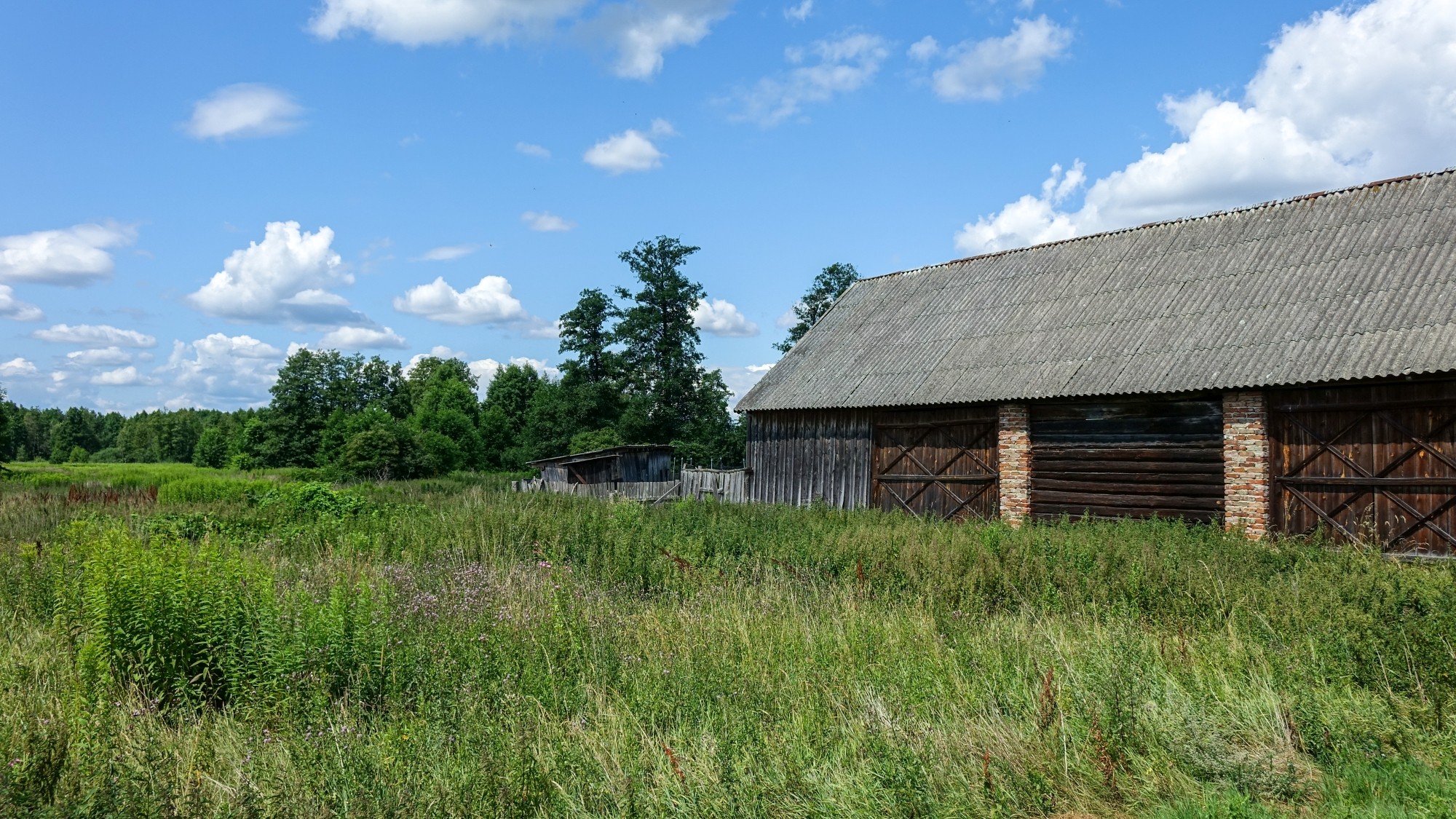 Lipiec w obiektywie - zdjęcie 31
