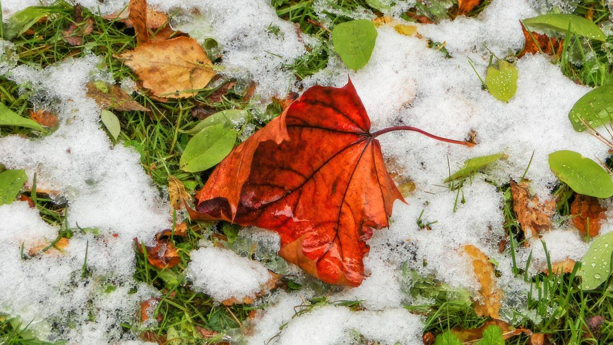 Pierwszy śnieg na nizinach. Fot. TwojaPogoda.pl