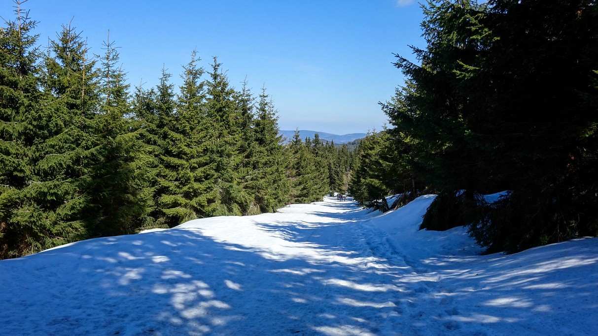 Marzec w obiektywie - zdjęcie 20