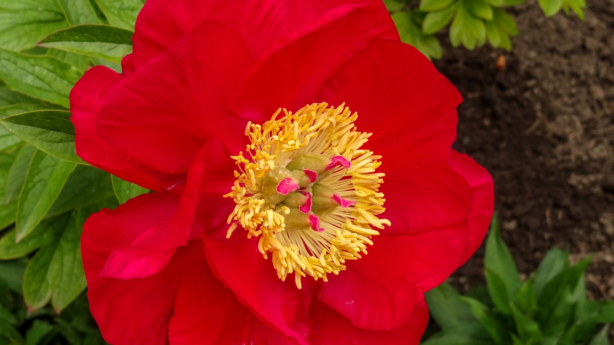 Wiosna radosna - zdjęcie 10