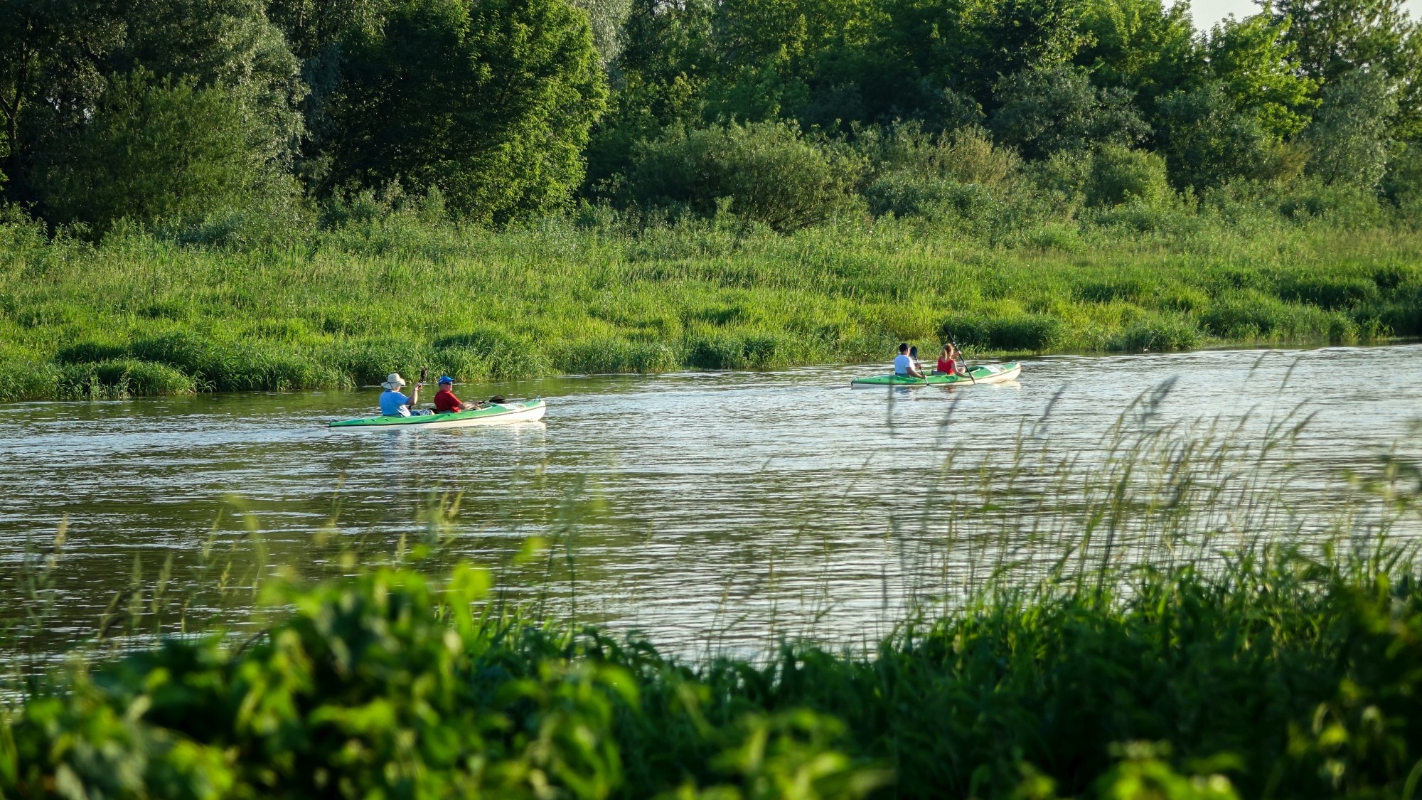 Czerwiec w obiektywie - zdjęcie 33