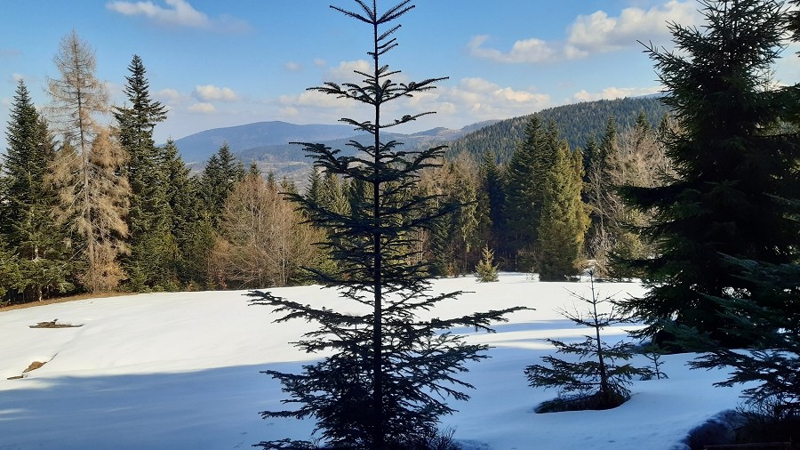 Zima kontra wiosna w Beskidach Zachodnich. Fot. Czytelnik / TwojaPogoda.pl