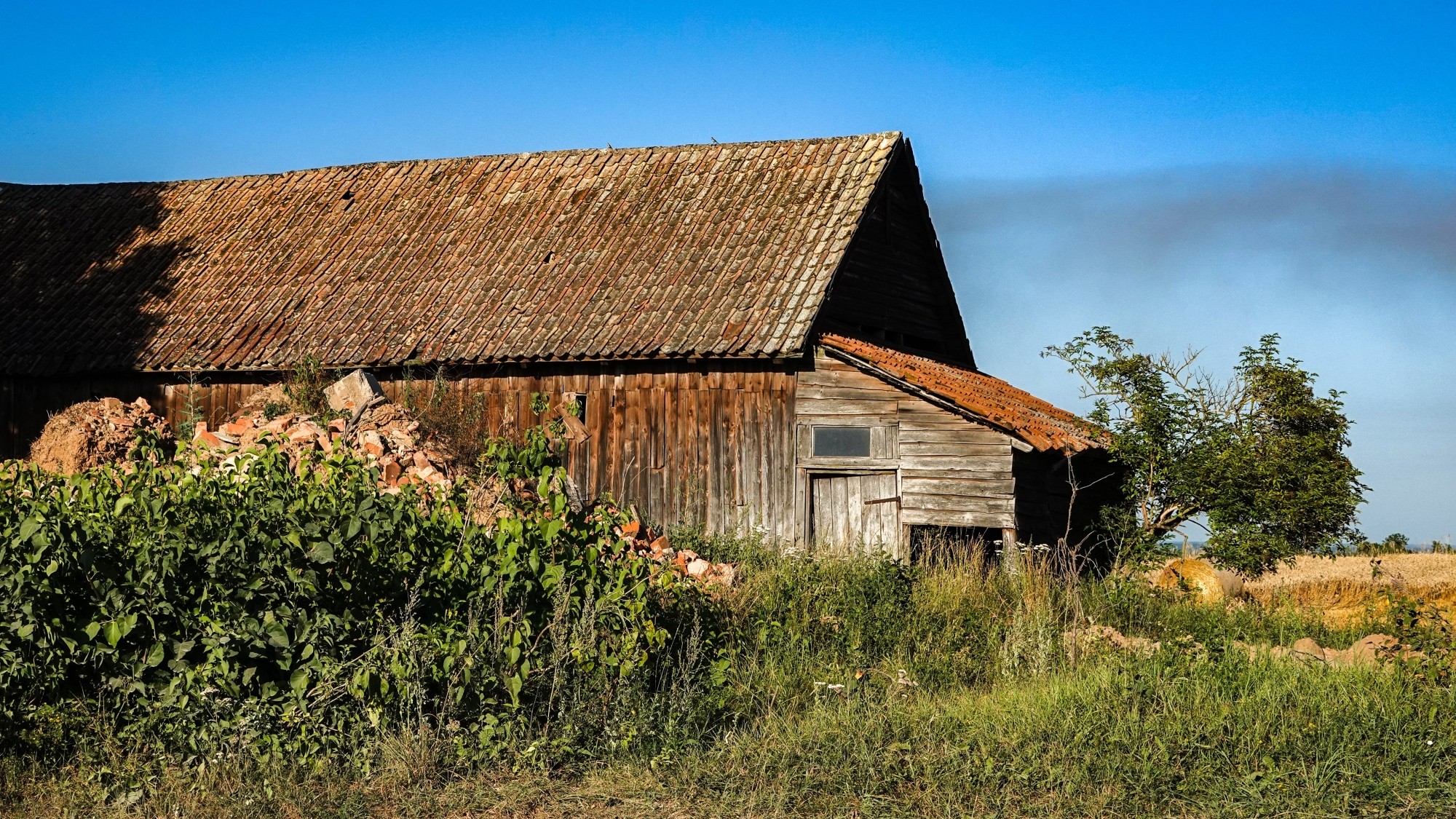 Na pożegnanie lata - zdjęcie 32