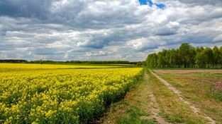 06.05.2020 12:00 Zabieramy Was w podróż przez wiosenną Polskę. Zobaczcie najlepsze zdjęcia ostatnich tygodni