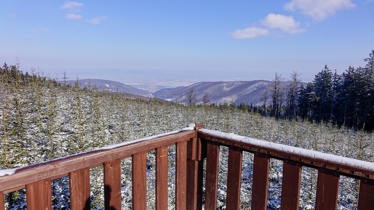 Luty w obiektywie - zdjęcie 47