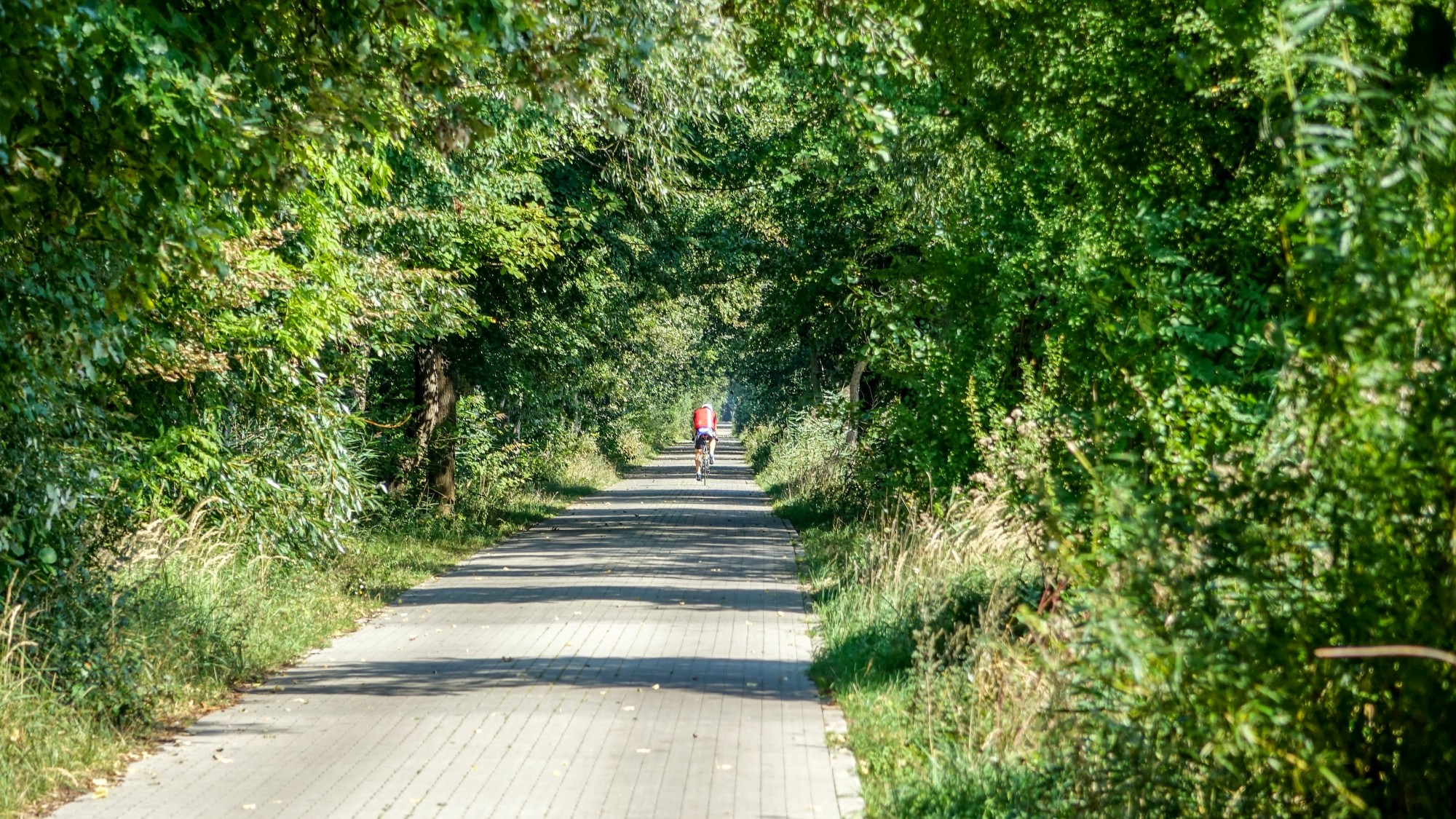 Późne lato na łonie natury - zdjęcie 19