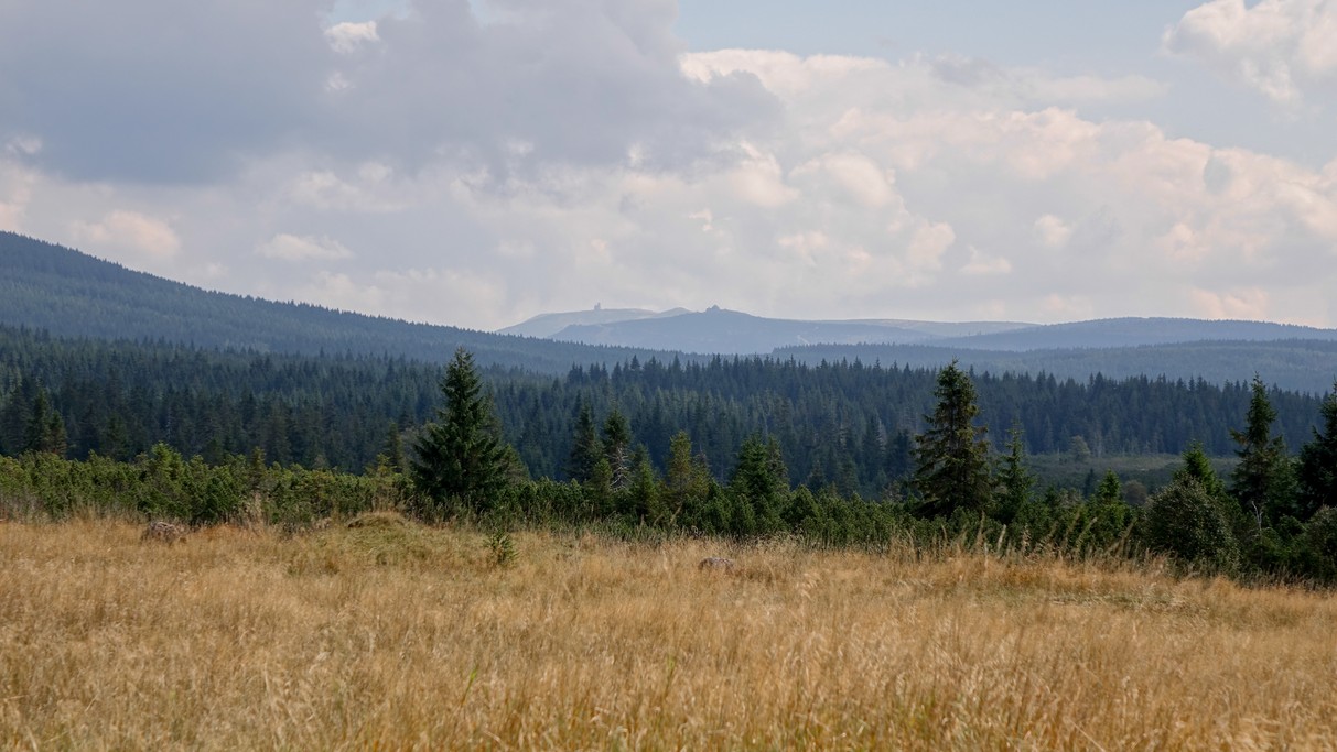 Uroki końca lata - zdjęcie 17