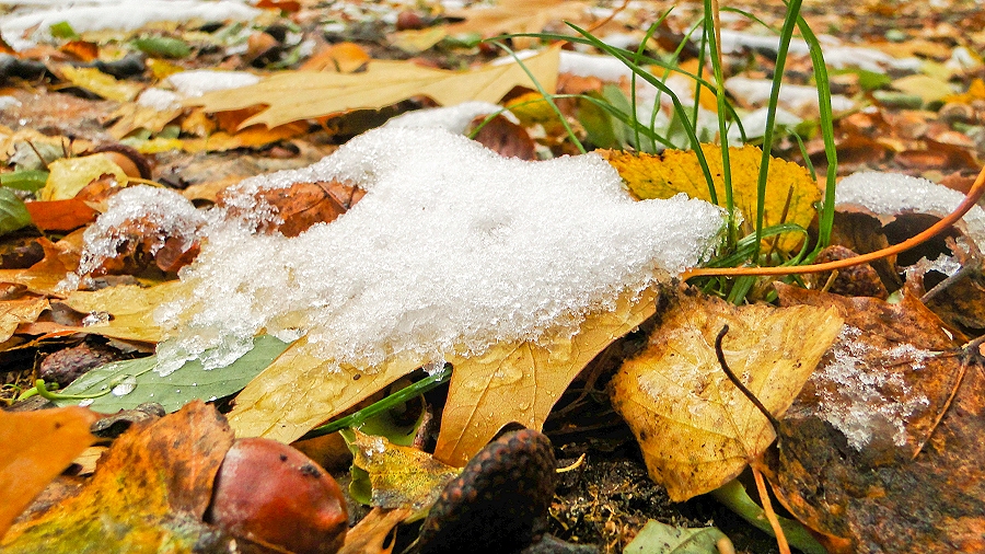 04.11.2018 10:00 Prognoza 16-dniowa: Jak długo będzie ciepło? Czy na horyzoncie jest już widoczny śnieg i mróz?