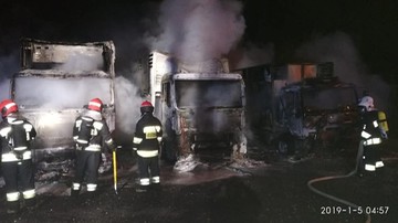 Pożar samochodów do przewozu zwierząt. Spaliły się trzy ciężarówki
