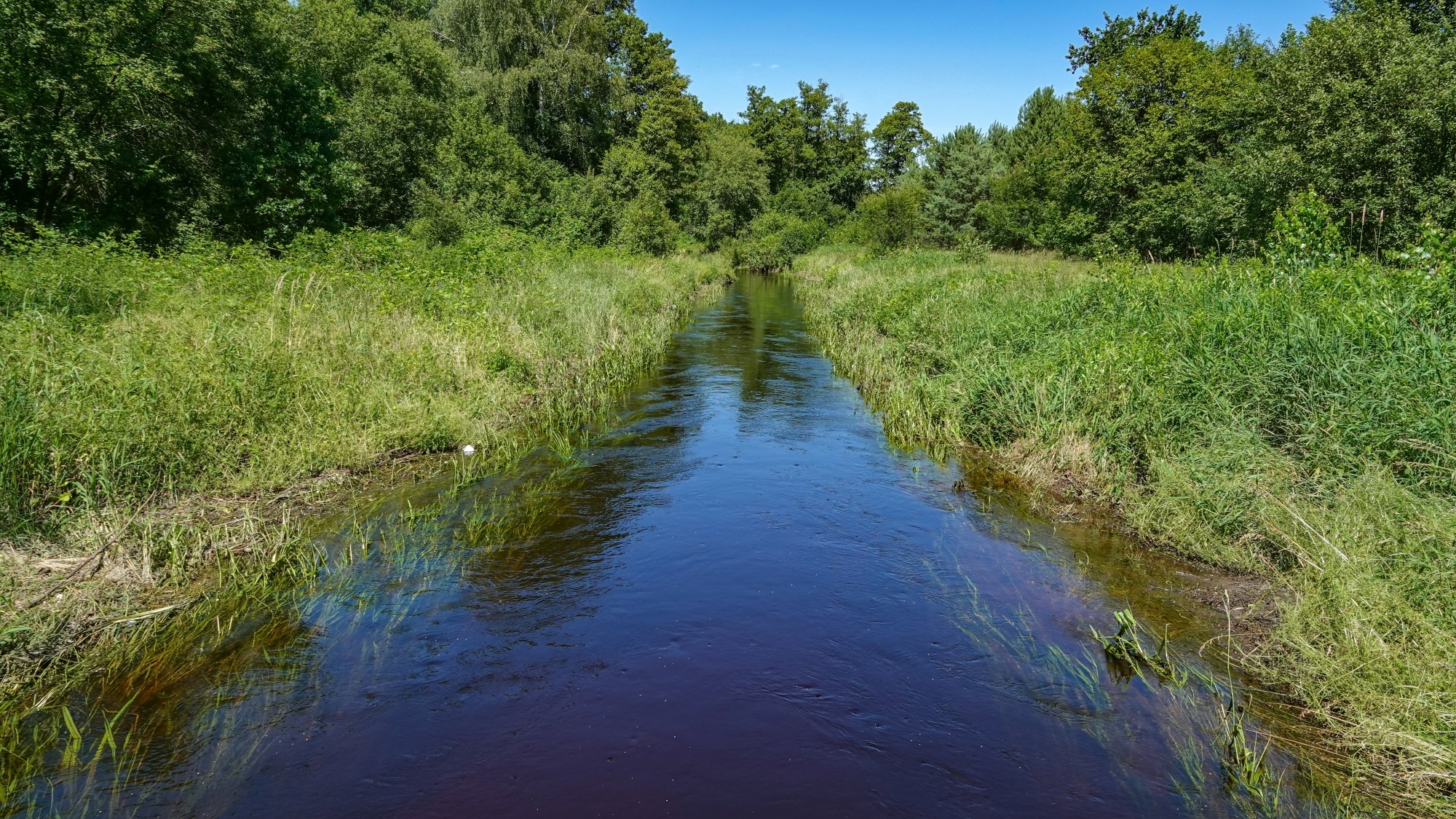 Letnie klimaty na łonie natury - zdjęcie 27