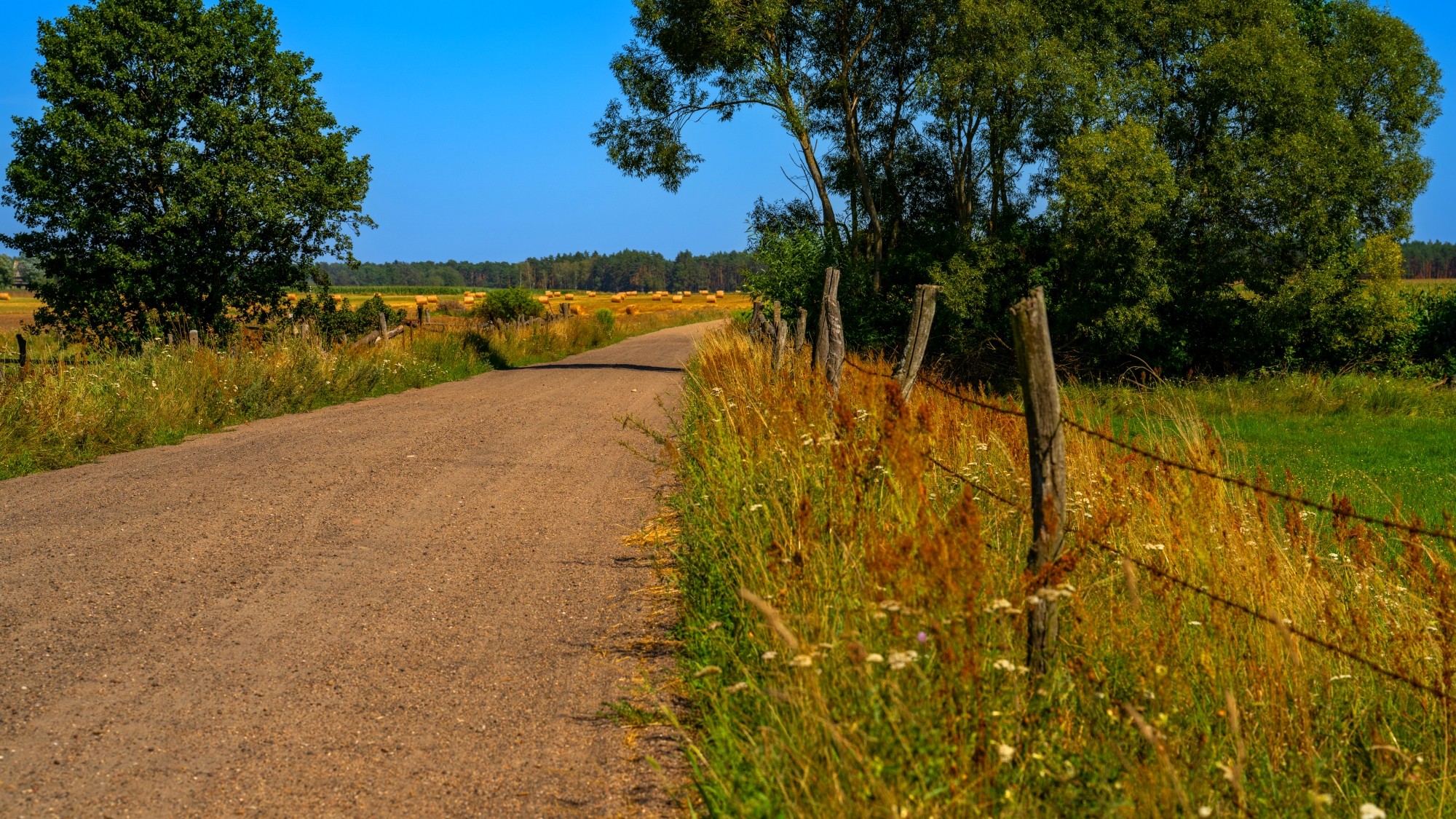 Wśród natury - zdjęcie 29