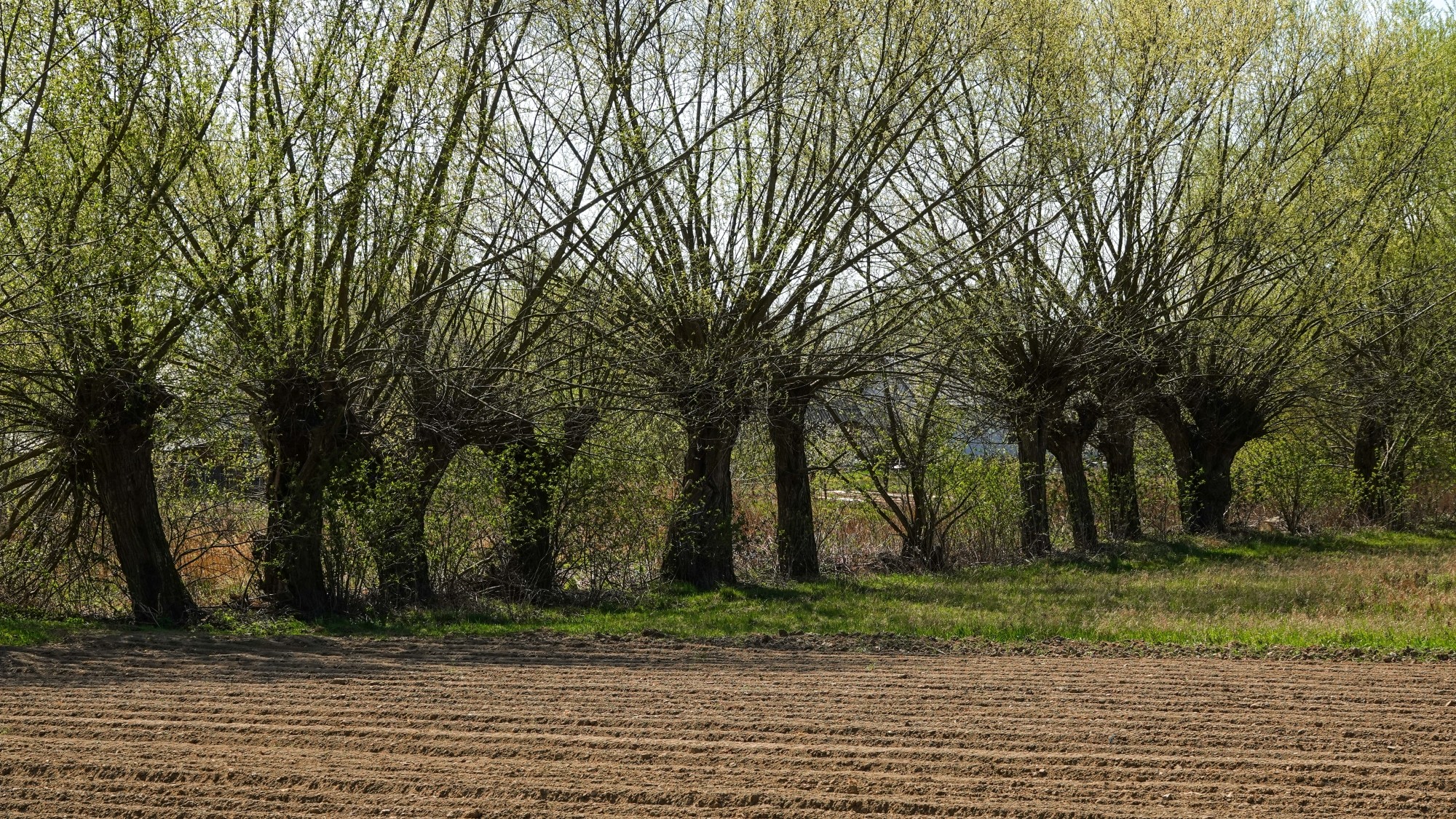 Kwiecień w obiektywie - zdjęcie 56