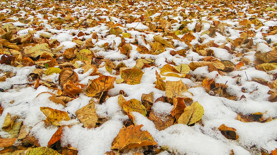 22.10.2019 11:00 Babie lato dobiega końca. Nadchodzi duże ochłodzenie, które przyniesie na nizinach pierwszy śnieg