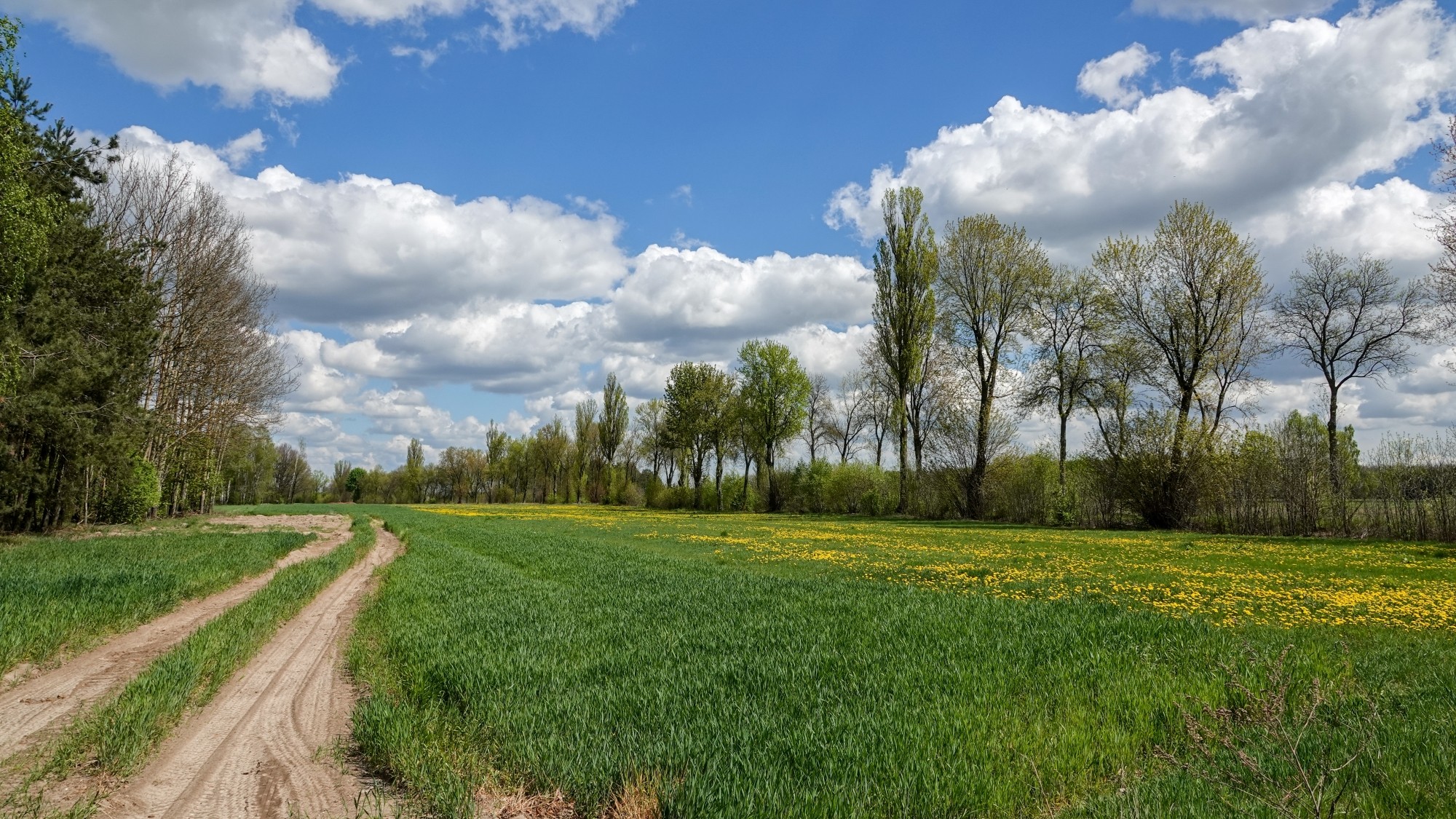 Kwiecień w obiektywie - zdjęcie 11