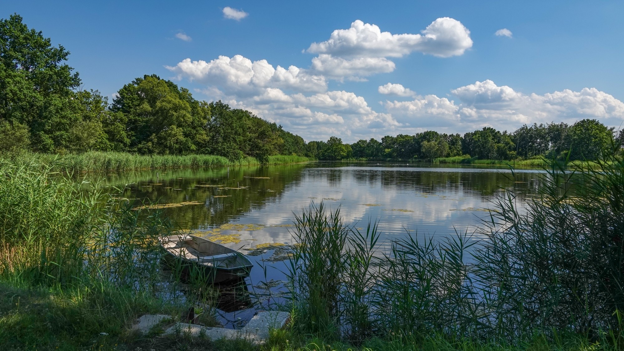 Wypoczynek nad wodą - zdjęcie 42