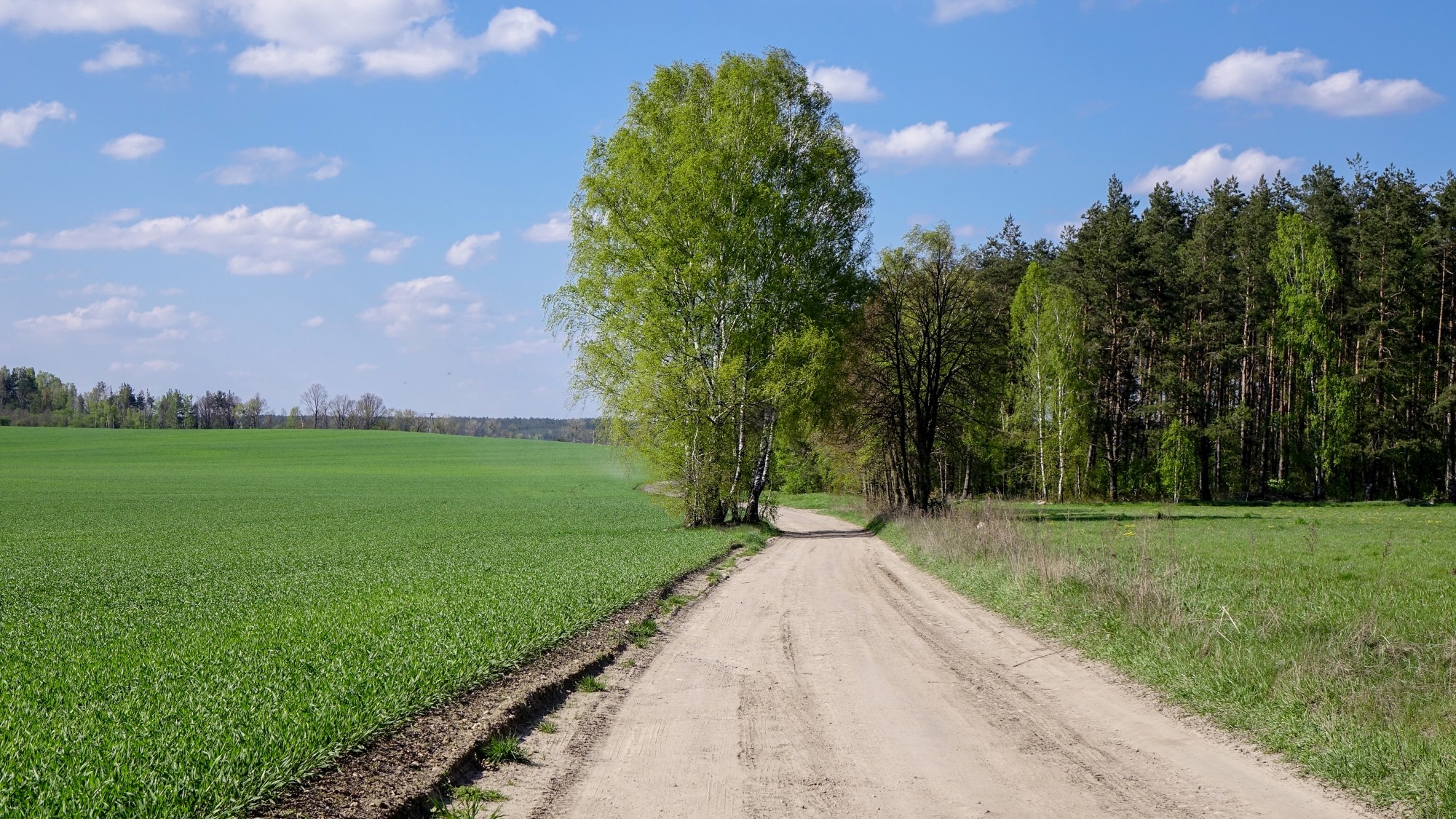 Mazury wiosną - zdjęcie 23