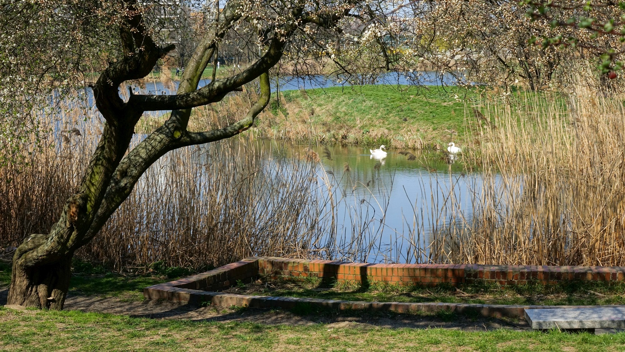 Kwiecień w obiektywie - zdjęcie 34