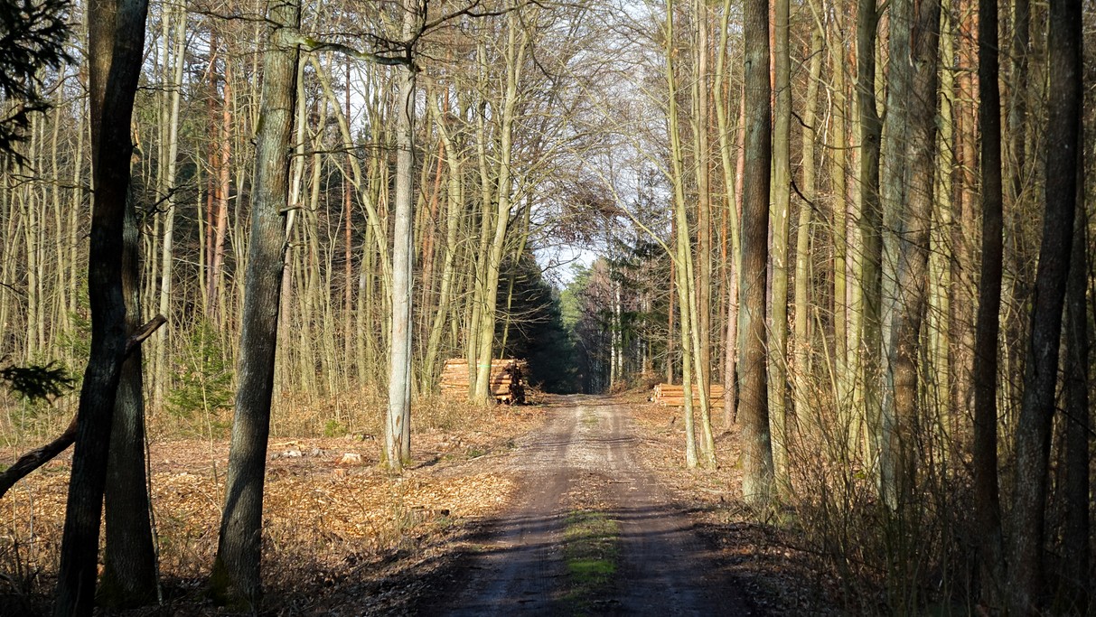 Marzec w obiektywie - zdjęcie 12