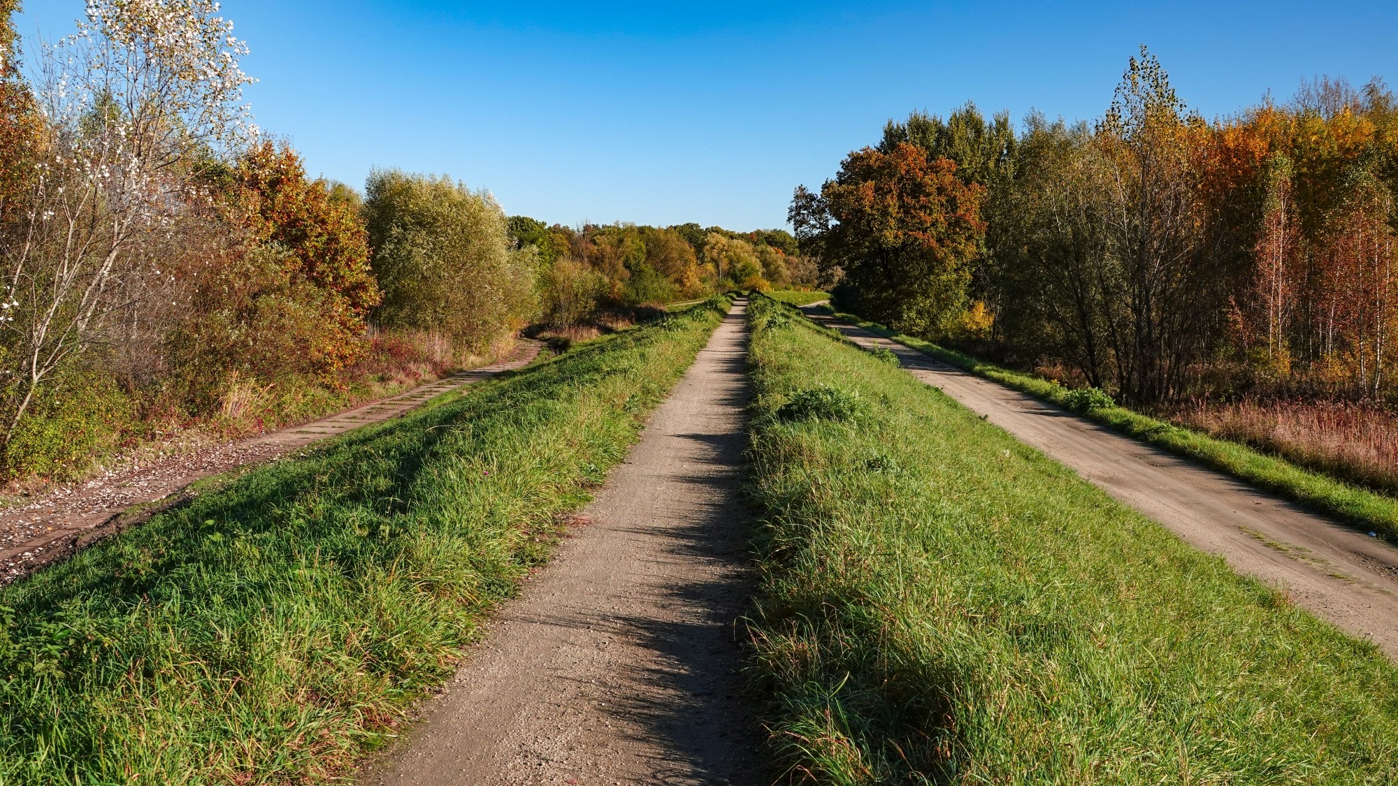 Wszystkie barwy jesieni - zdjęcie 13