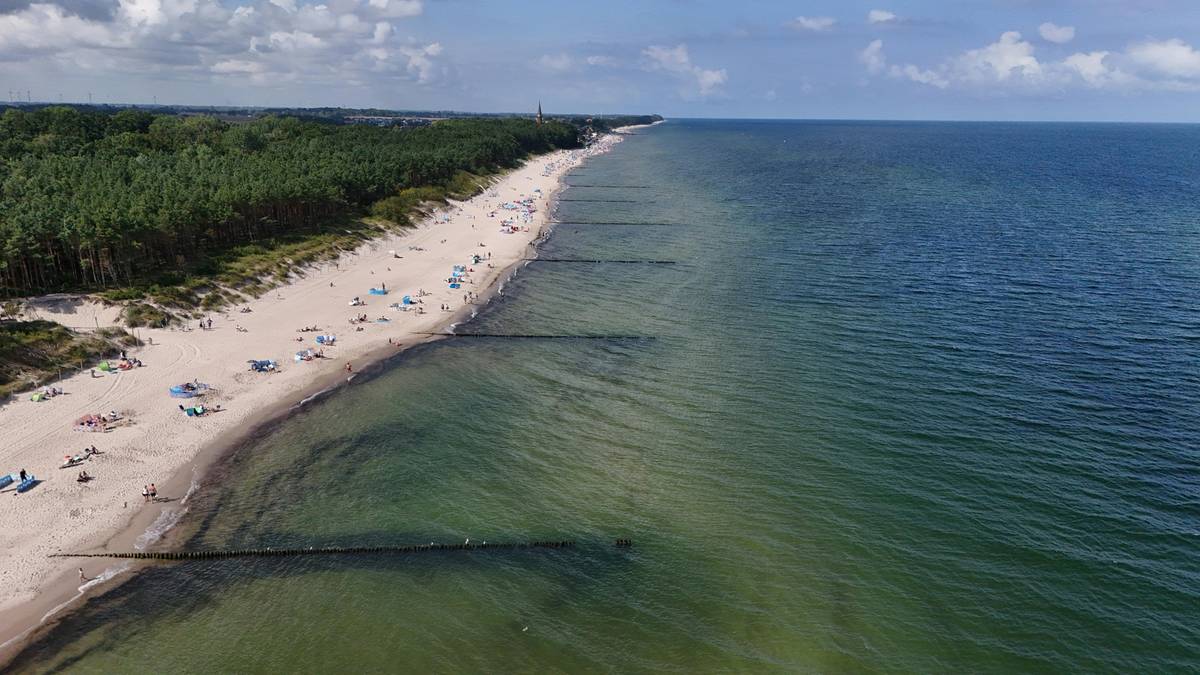 Widok z lotu ptaka na piaszczystą plażę nad Bałtykiem, z lasem sosnowym w tle i spokojnymi, turkusowymi wodami.