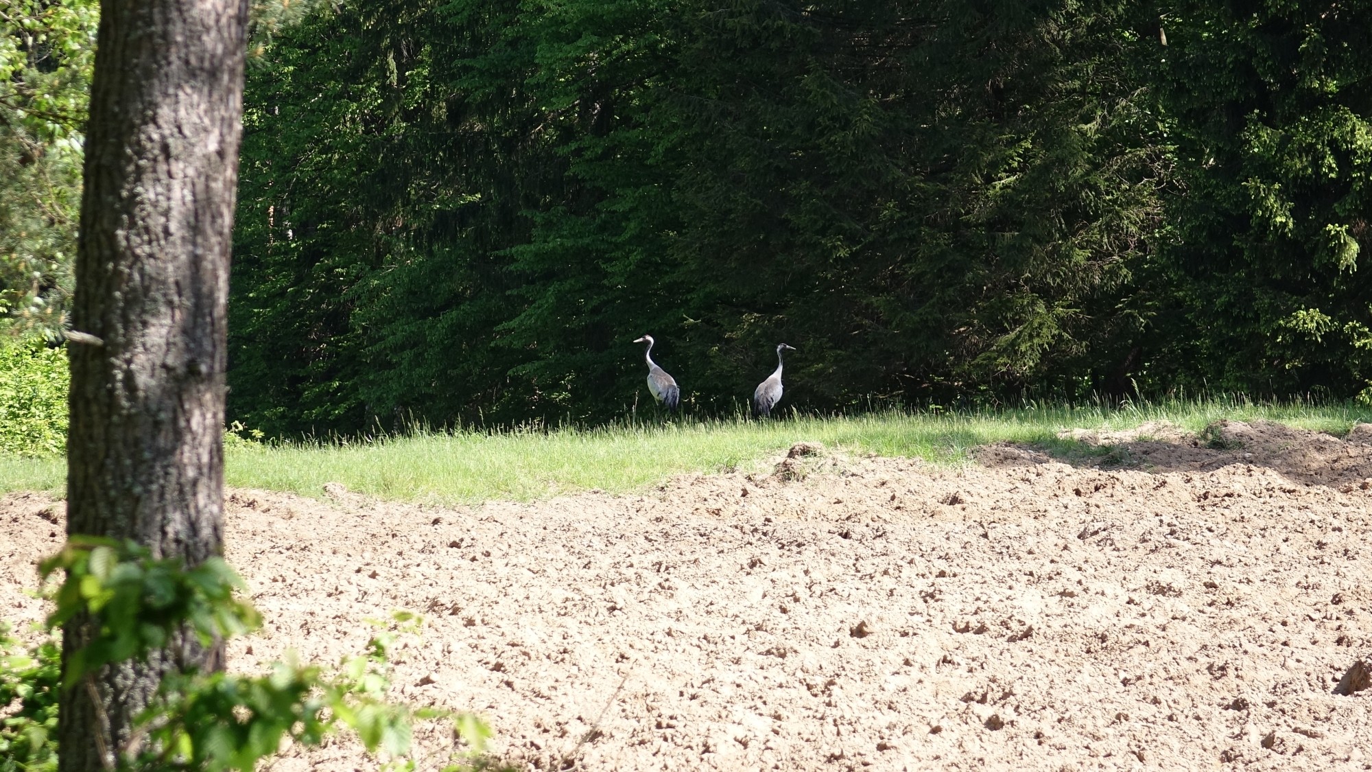 Z kamerą wśród zwierząt - zdjęcie 97