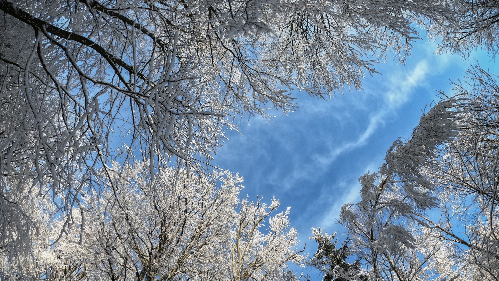 Kraina Narnii - zdjęcie 27