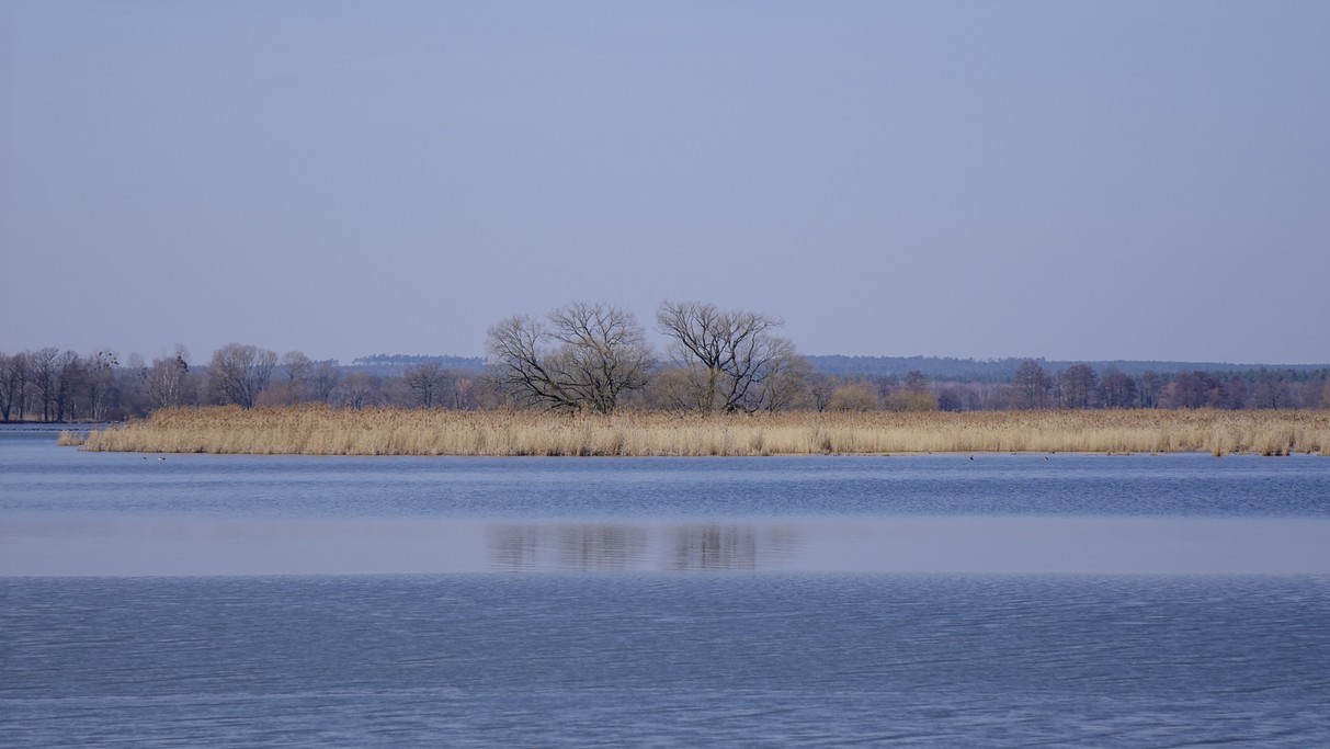 Marzec w obiektywie - zdjęcie 51