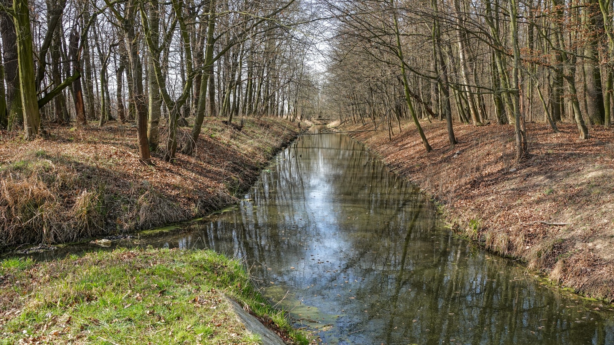 Marzec w obiektywie - zdjęcie 37
