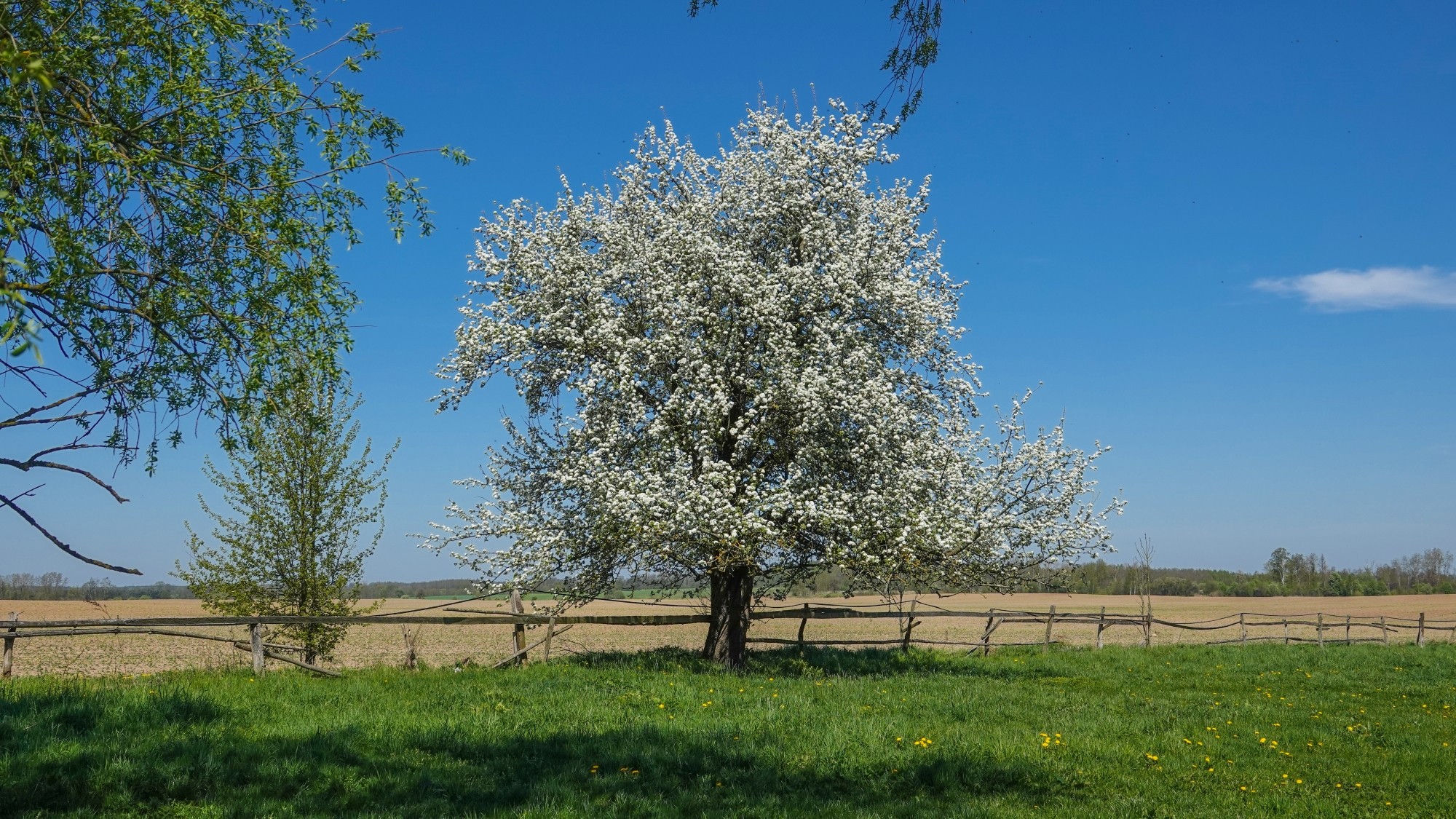 W maju jak w raju - zdjęcie 10