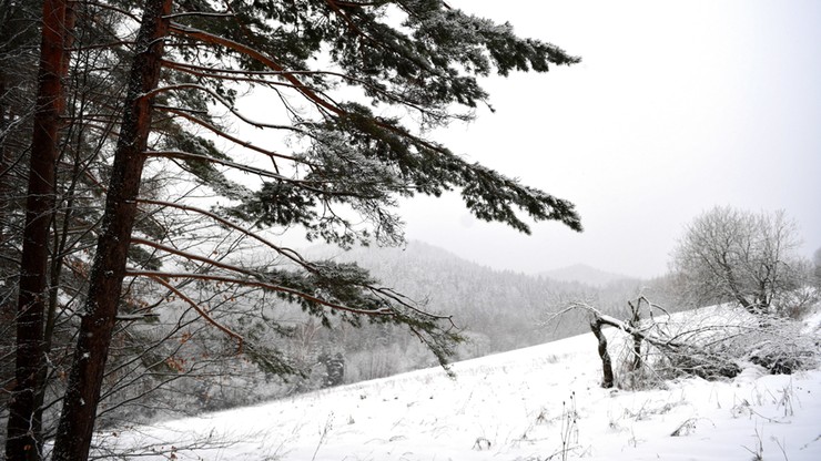 W Tatrach lawinowa dwójka. Śnieg i lód na szlakach