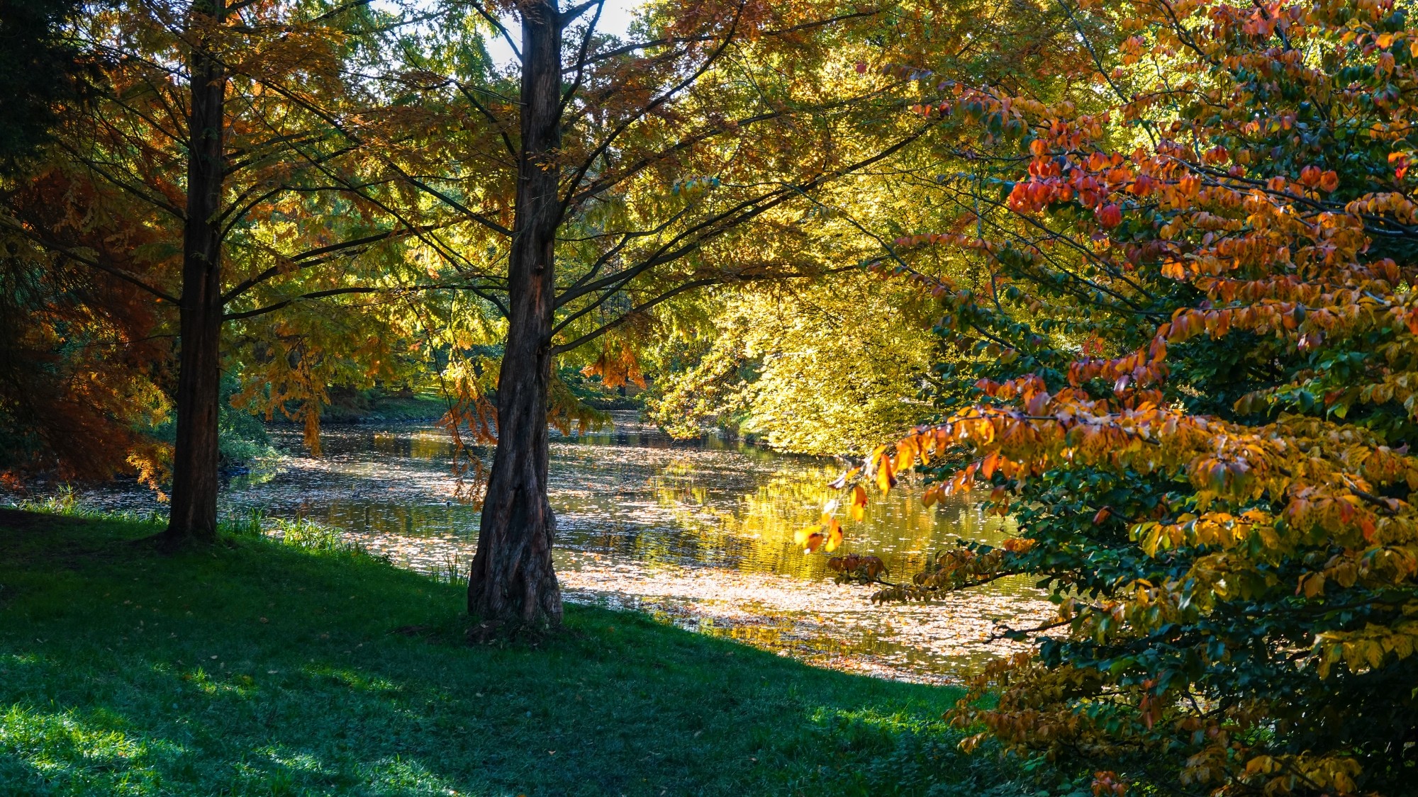 Wszystkie barwy jesieni - zdjęcie 44