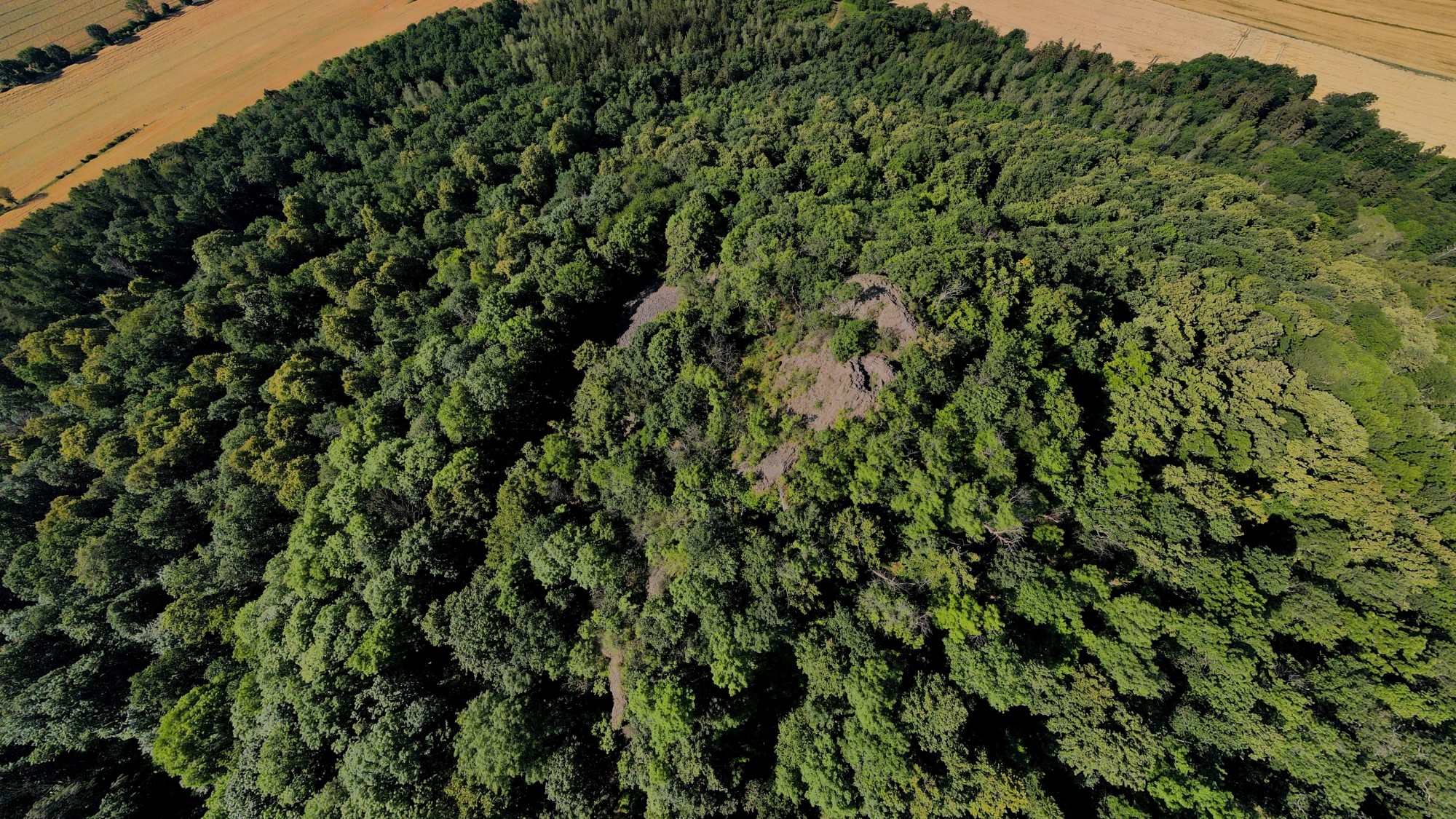 Ostrzyca - polski wygasły wulkan - zdjęcie 7