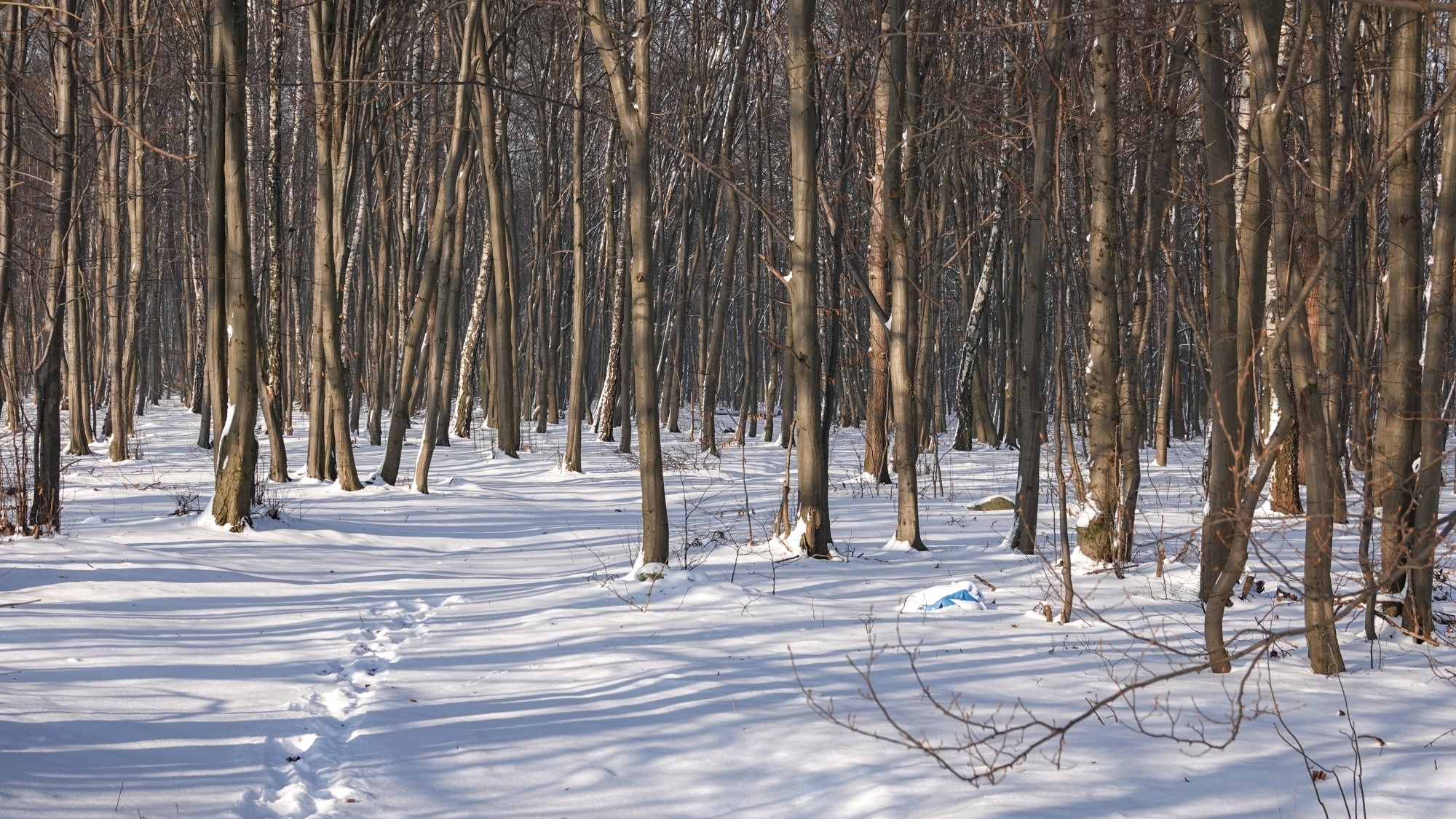 Na lodowym szlaku - zdjęcie 15