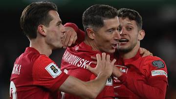 El. MŚ 2026: Polska - Holandia. Relacja live i wynik na żywo