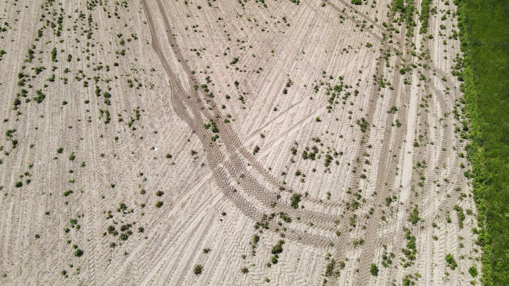 Piękne letnie krajobrazy z lotu ptaka - zdjęcie 19