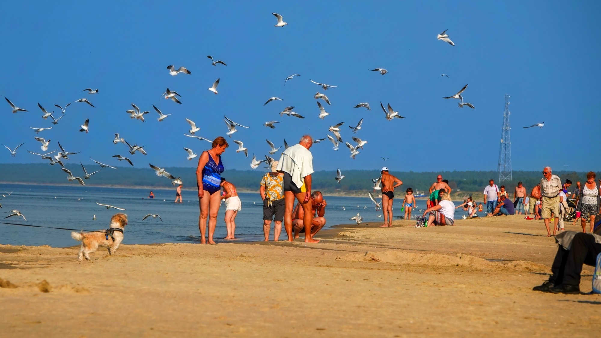 Bałtyk po sezonie - zdjęcie 5