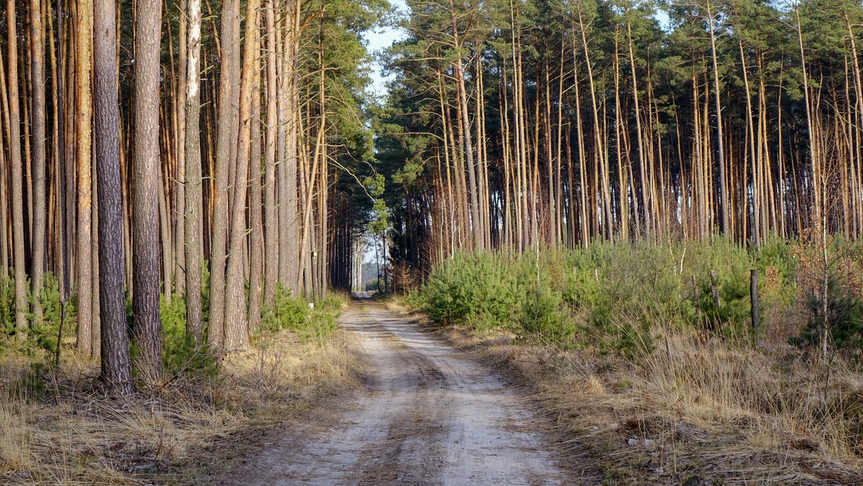 Polskie krajobrazy w 2018 roku - zdjęcie 58